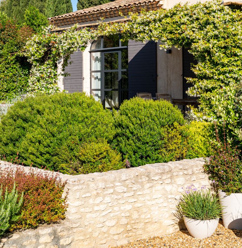 Ideal Garden Paysagiste Alpilles