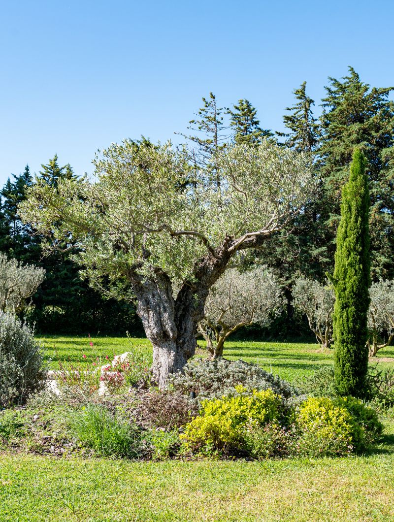ideal-garden-realisations-2 Ideal Garden Paysagiste Alpilles