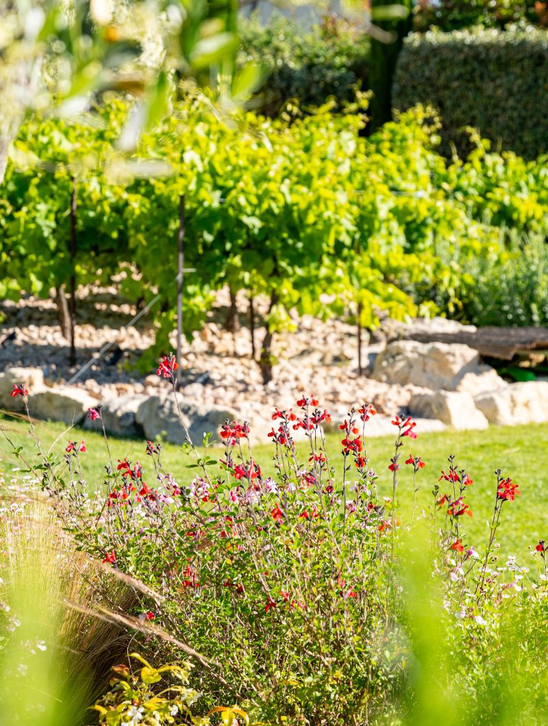 ideal-garden-realisations-4 Ideal Garden Paysagiste Alpilles