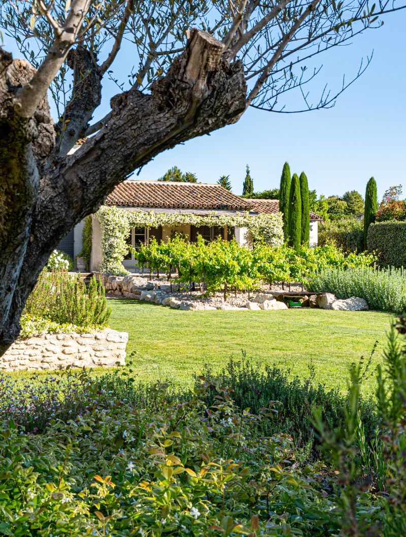 ideal-garden-realisations-6 Ideal Garden Paysagiste Alpilles